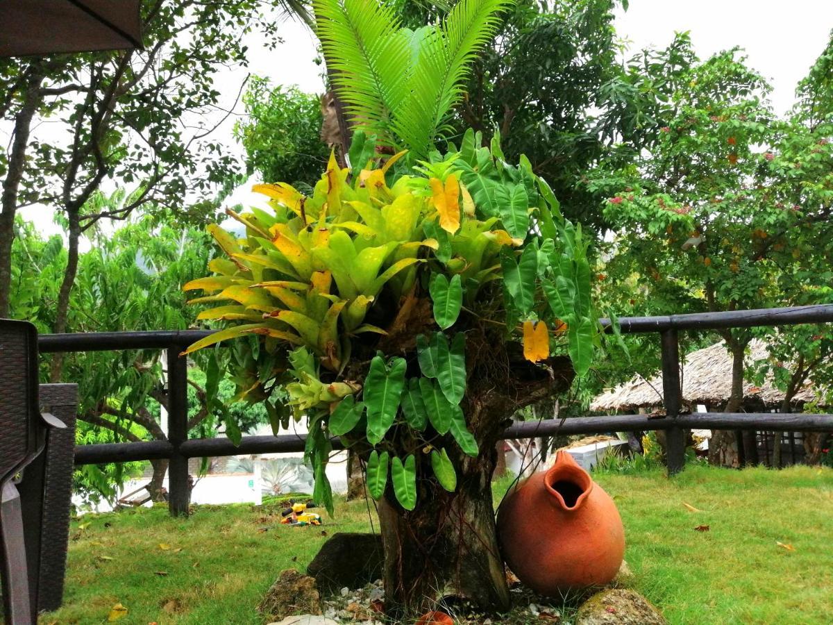Villa Cata Hotel الزينو المظهر الخارجي الصورة