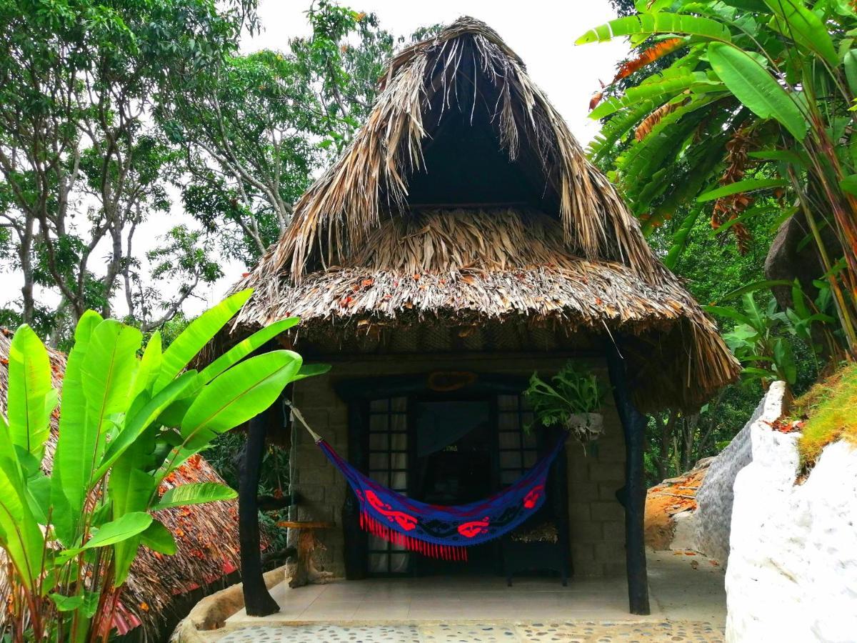 Villa Cata Hotel الزينو المظهر الخارجي الصورة