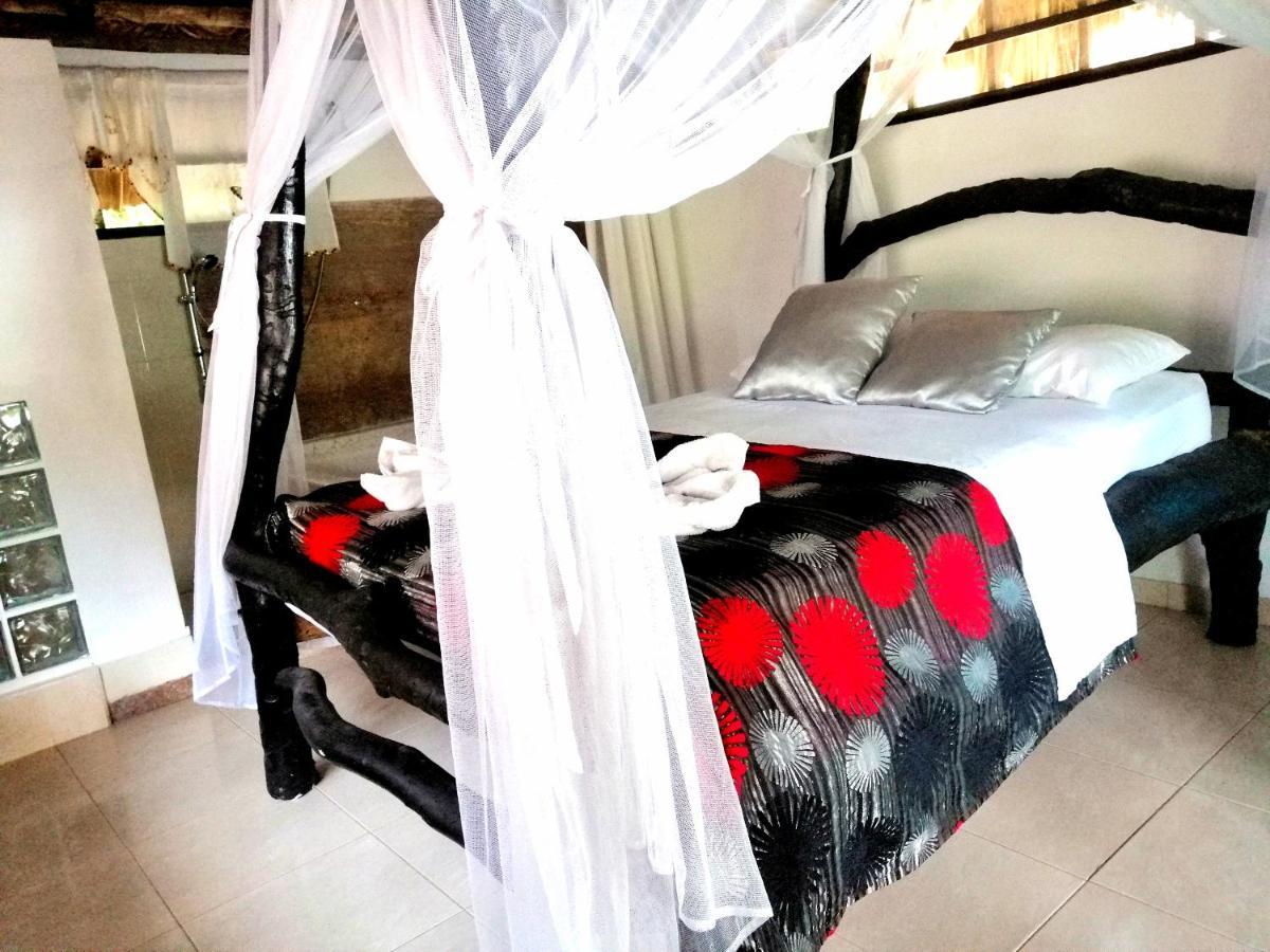 Villa Cata Hotel الزينو المظهر الخارجي الصورة