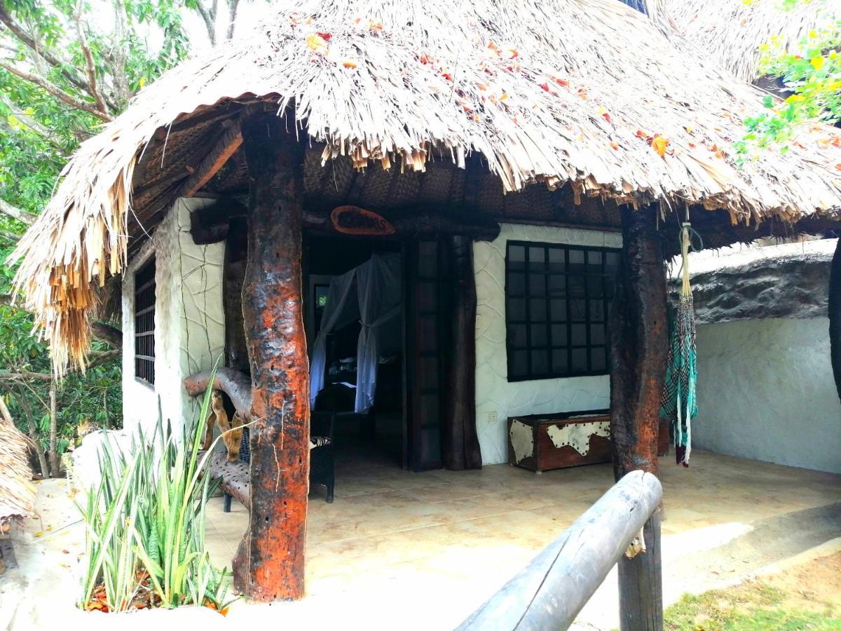Villa Cata Hotel الزينو المظهر الخارجي الصورة
