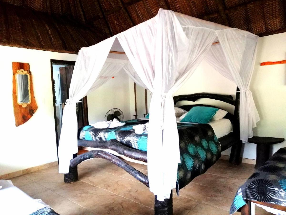 Villa Cata Hotel الزينو المظهر الخارجي الصورة