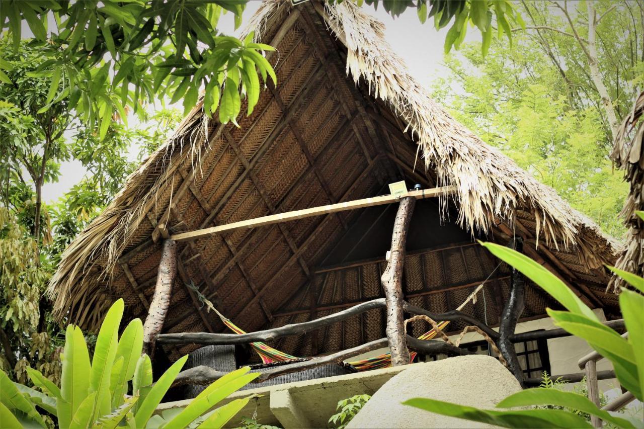 Villa Cata Hotel الزينو المظهر الخارجي الصورة