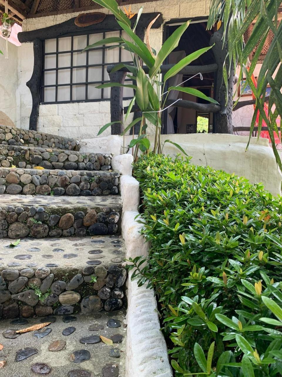 Villa Cata Hotel الزينو المظهر الخارجي الصورة