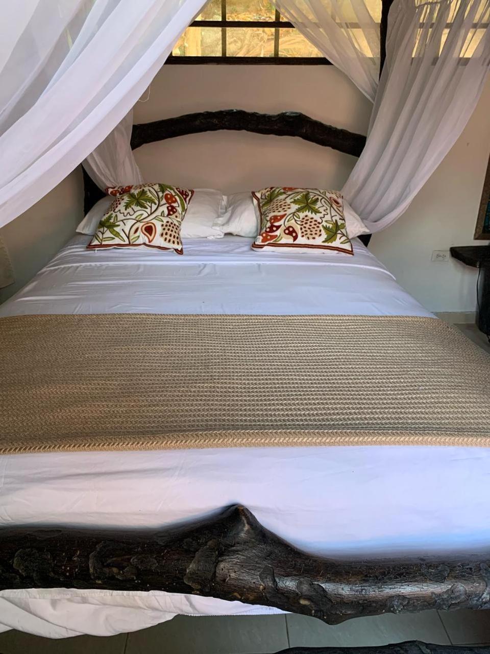 Villa Cata Hotel الزينو المظهر الخارجي الصورة