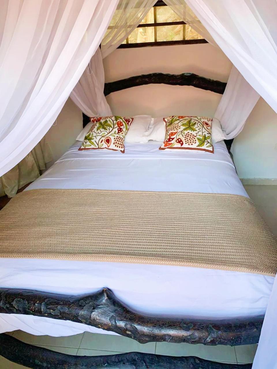 Villa Cata Hotel الزينو المظهر الخارجي الصورة