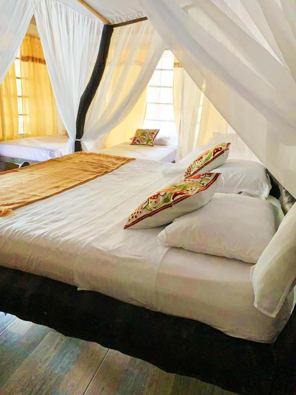 Villa Cata Hotel الزينو المظهر الخارجي الصورة