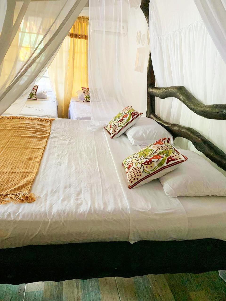 Villa Cata Hotel الزينو المظهر الخارجي الصورة