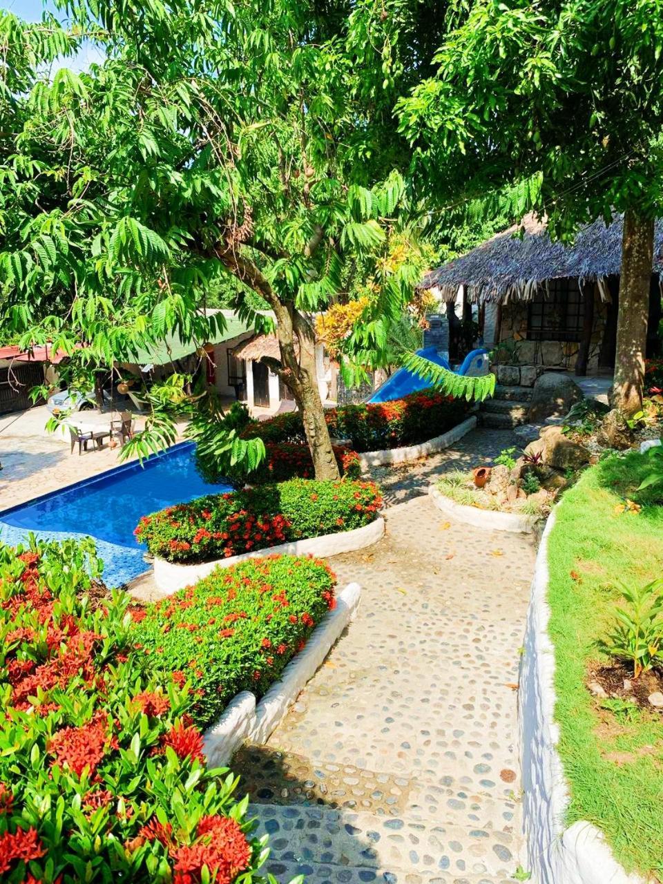 Villa Cata Hotel الزينو المظهر الخارجي الصورة